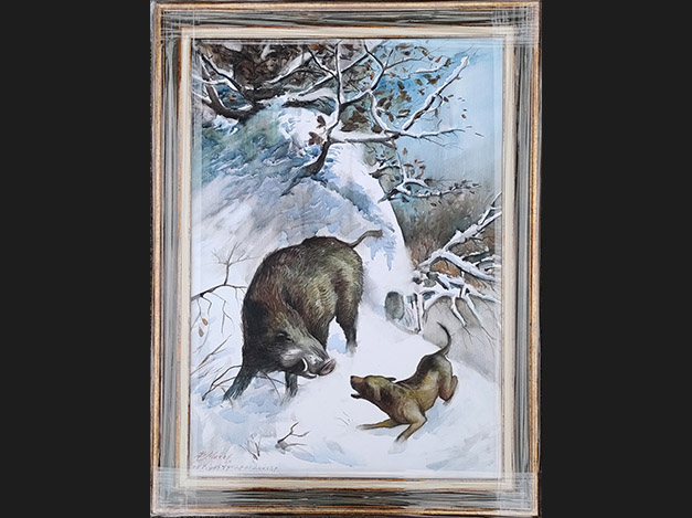 Boar and dog